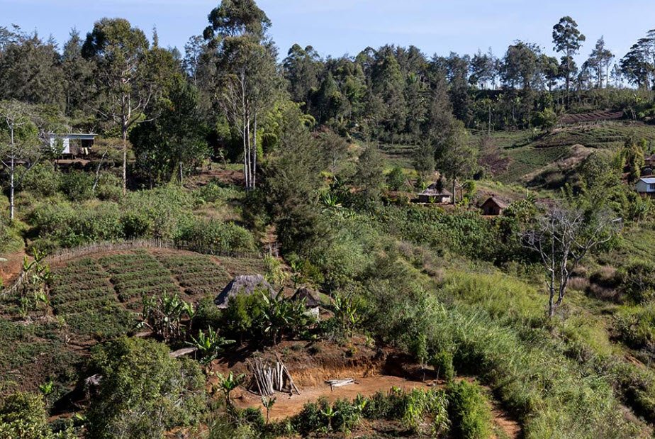 Mount Hagen, Western Highlands Province, Papua New Guinea